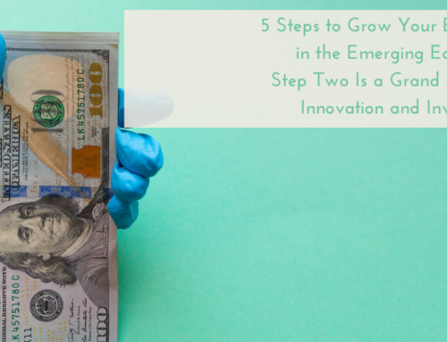 5 Steps to Grow Your Business in the Emerging Economy: Step Two Is a Grand Plan for Innovation and Investment