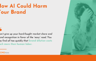 Text image with blog title and a quote with small photo of woman appearing frustrated.