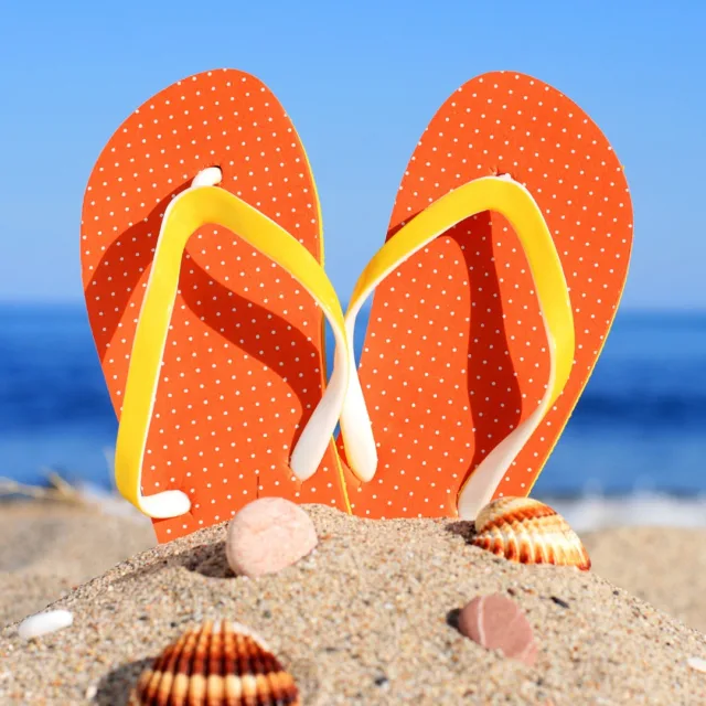 Hello, summer! ☀️ Bask in the sunshine and let the good vibes roll, Happy First Day of Summer!